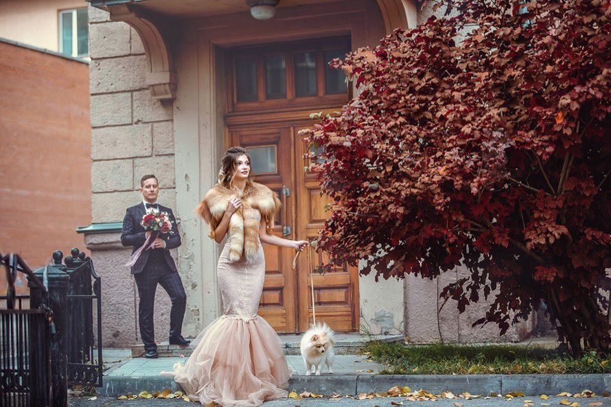 Фото 16354200 в коллекции Денис и Ольга 30.09.17 - Lime - weddings and events