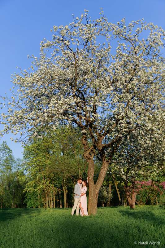 Лавстори под цветущей яблоней - фото 17891902 Фотограф Наталья Вендт