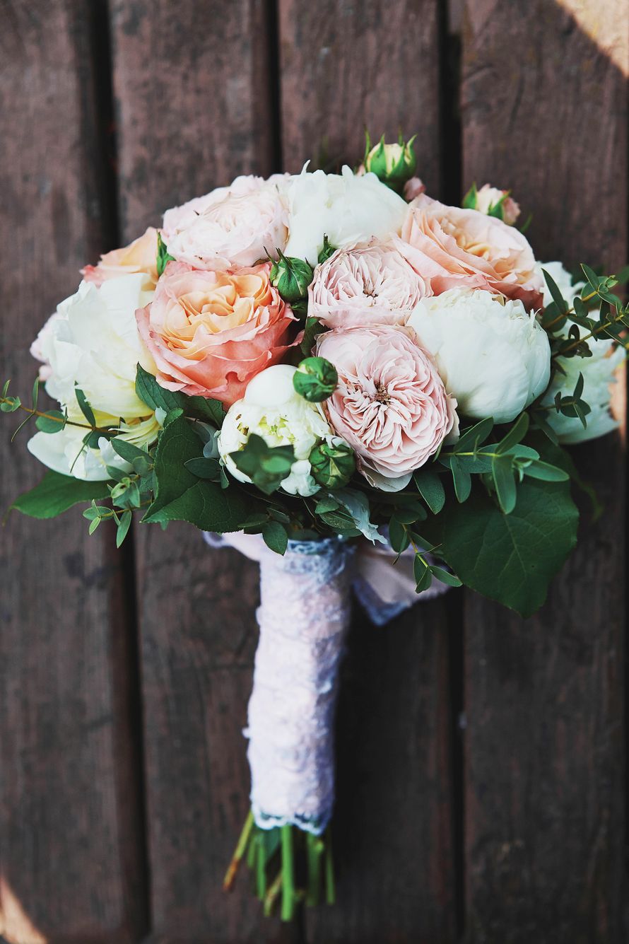 Фото 16184662 в коллекции Роман и Мария сентябрь 2016 - Фотограф Ольга Ефремова