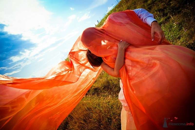 Фото 62147 в коллекции Моя оранжевая свадьба - yanechka
