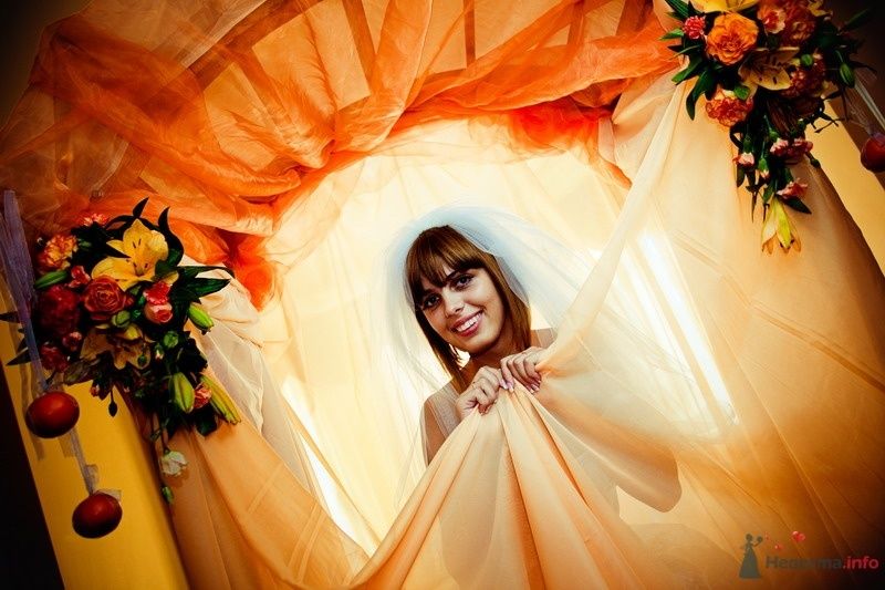 Фото 62732 в коллекции Моя оранжевая свадьба - yanechka