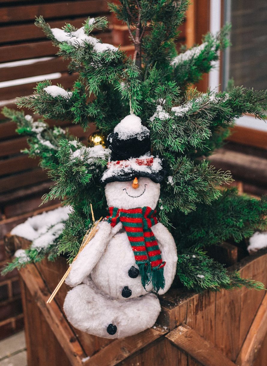 Фото 16740252 в коллекции Ксюша и Алексей 21.12.2017 - Фотограф Юля Каменская