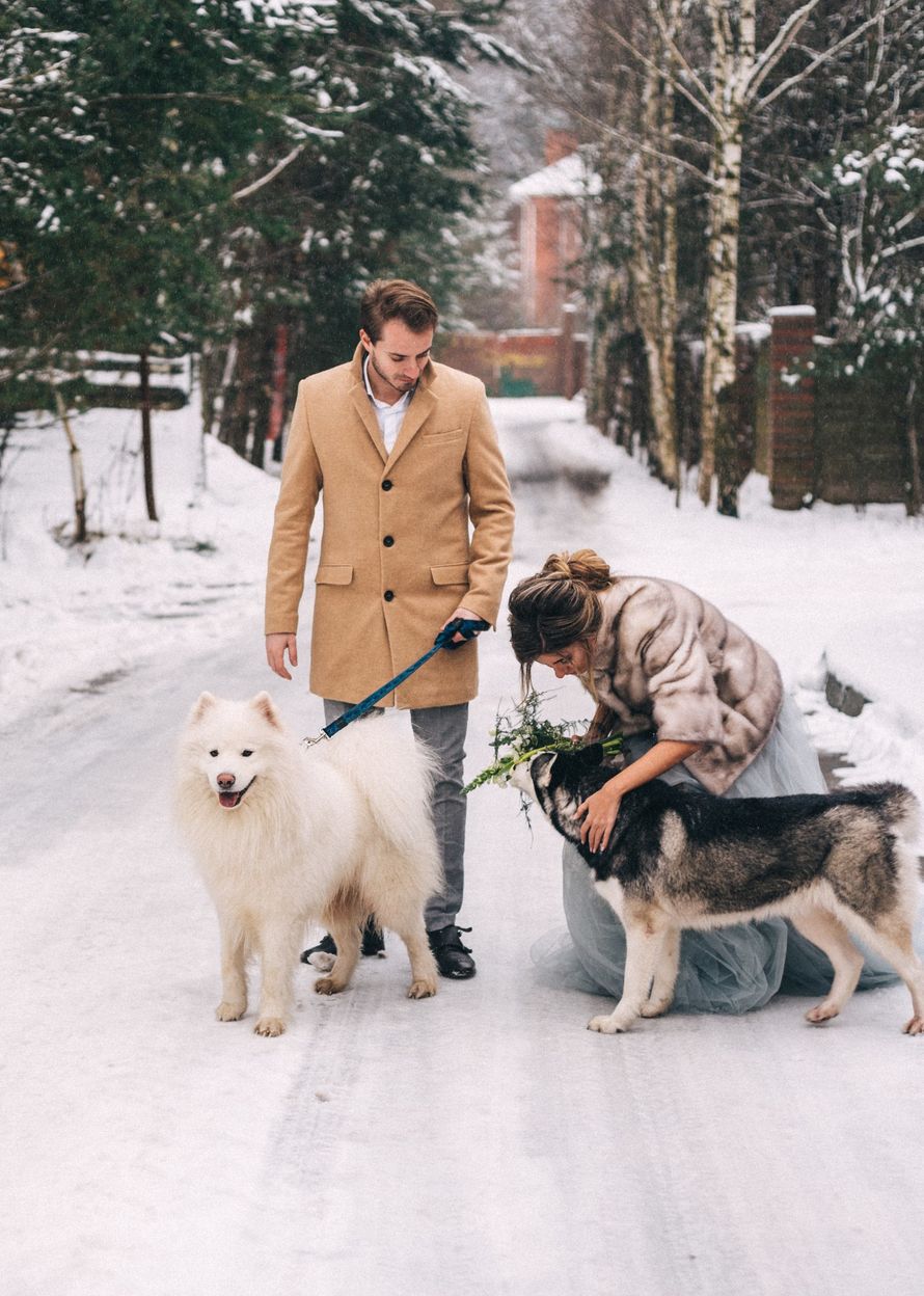 Фото 16740256 в коллекции Ксюша и Алексей 21.12.2017 - Фотограф Юля Каменская