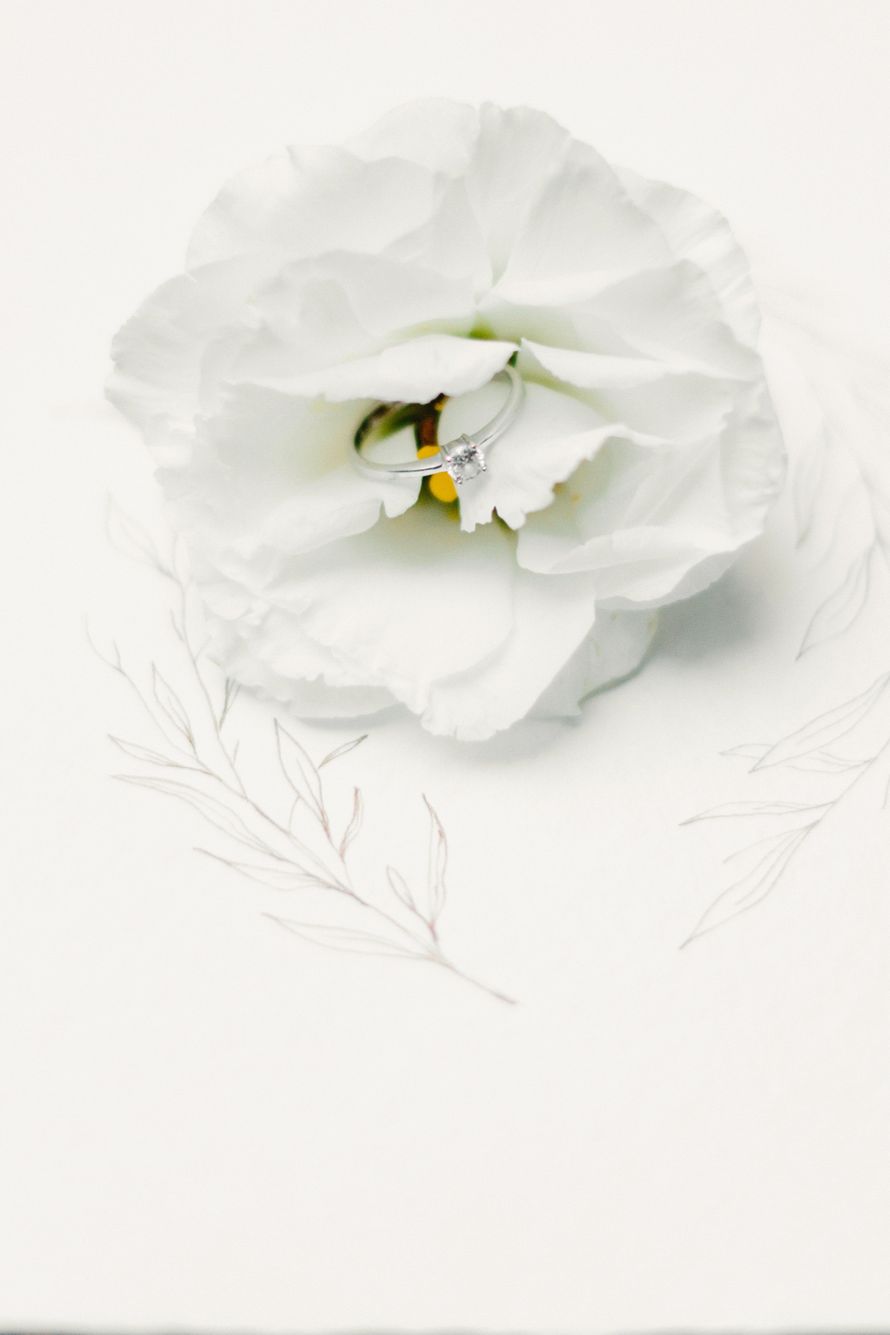 Фото 19348442 в коллекции Портфолио - Фотограф Дарья Артищева