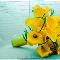 букет невесты из калл