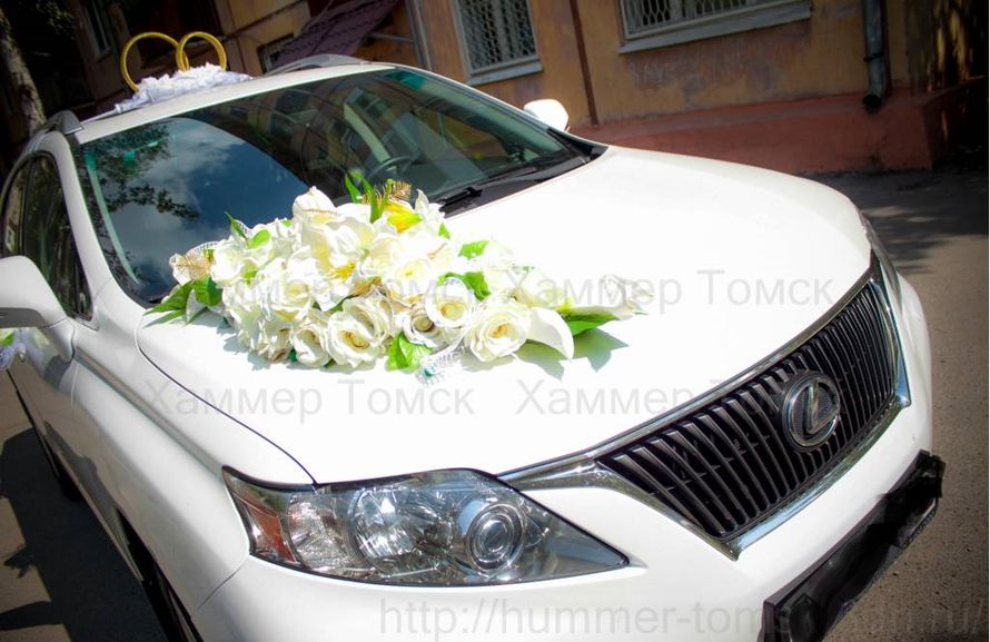 Фото 2407849 в коллекции Украшения для свадебного автомобиля. - «Автолюкс» - прокат автомобилей на свадьбу.