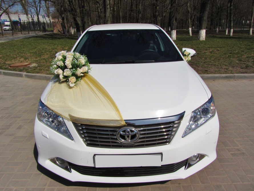 Фото 2407893 в коллекции Украшения для свадебного автомобиля. - «Автолюкс» - прокат автомобилей на свадьбу.