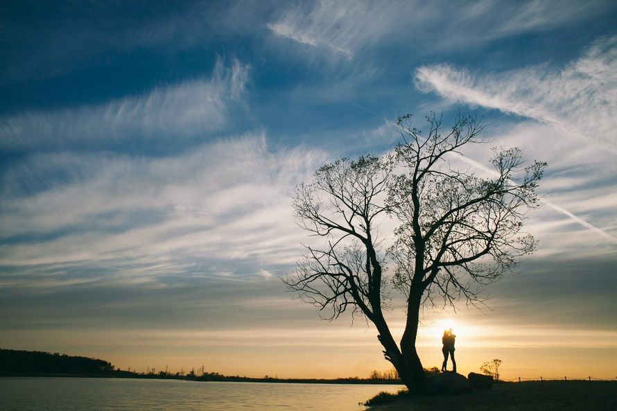 Фото 8901668 в коллекции Портфолио - Рогулькин Максим - фотограф