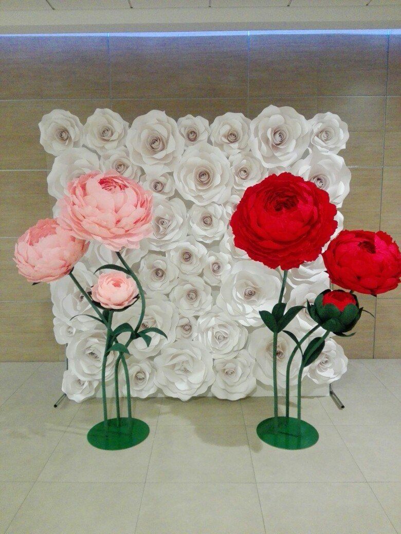 Фотозона "Белые розы" в аренду