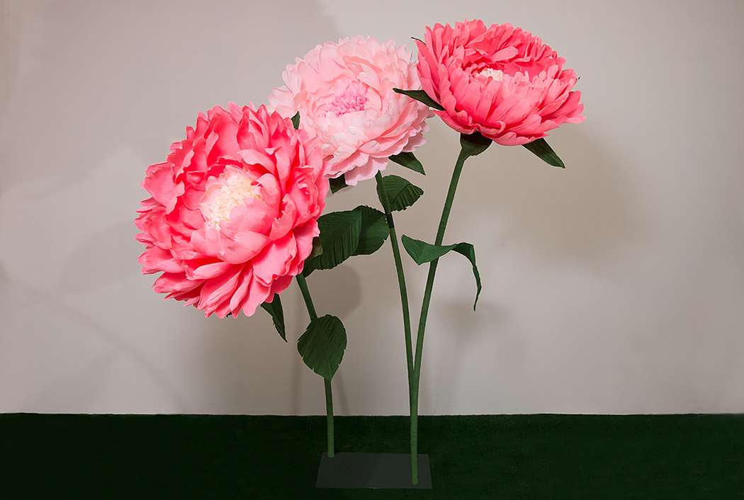 Фото 17543530 в коллекции Big Flowers - BigFlowers - студия декора