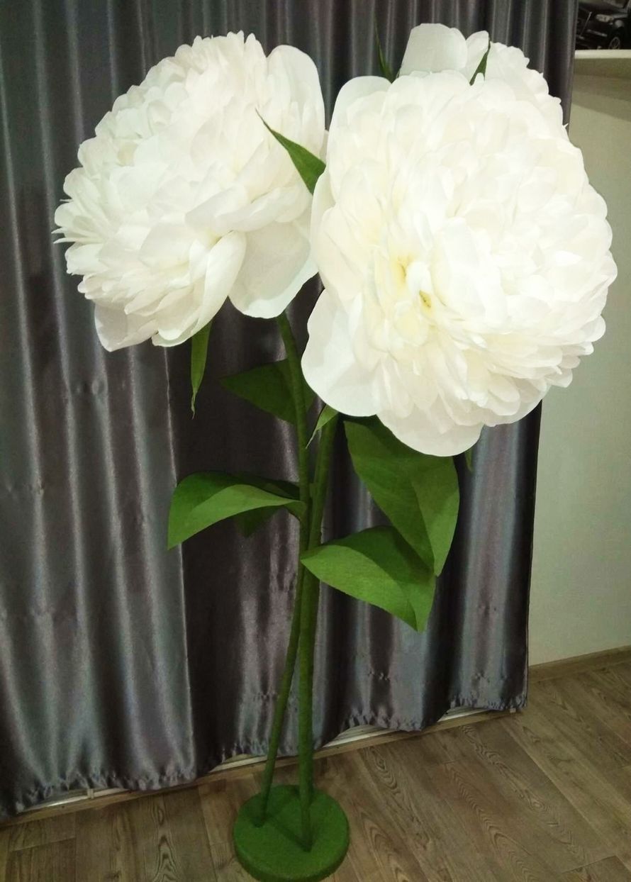 Фото 18371434 в коллекции Большие цветы - Ростовые цветы от Садовской Натальи