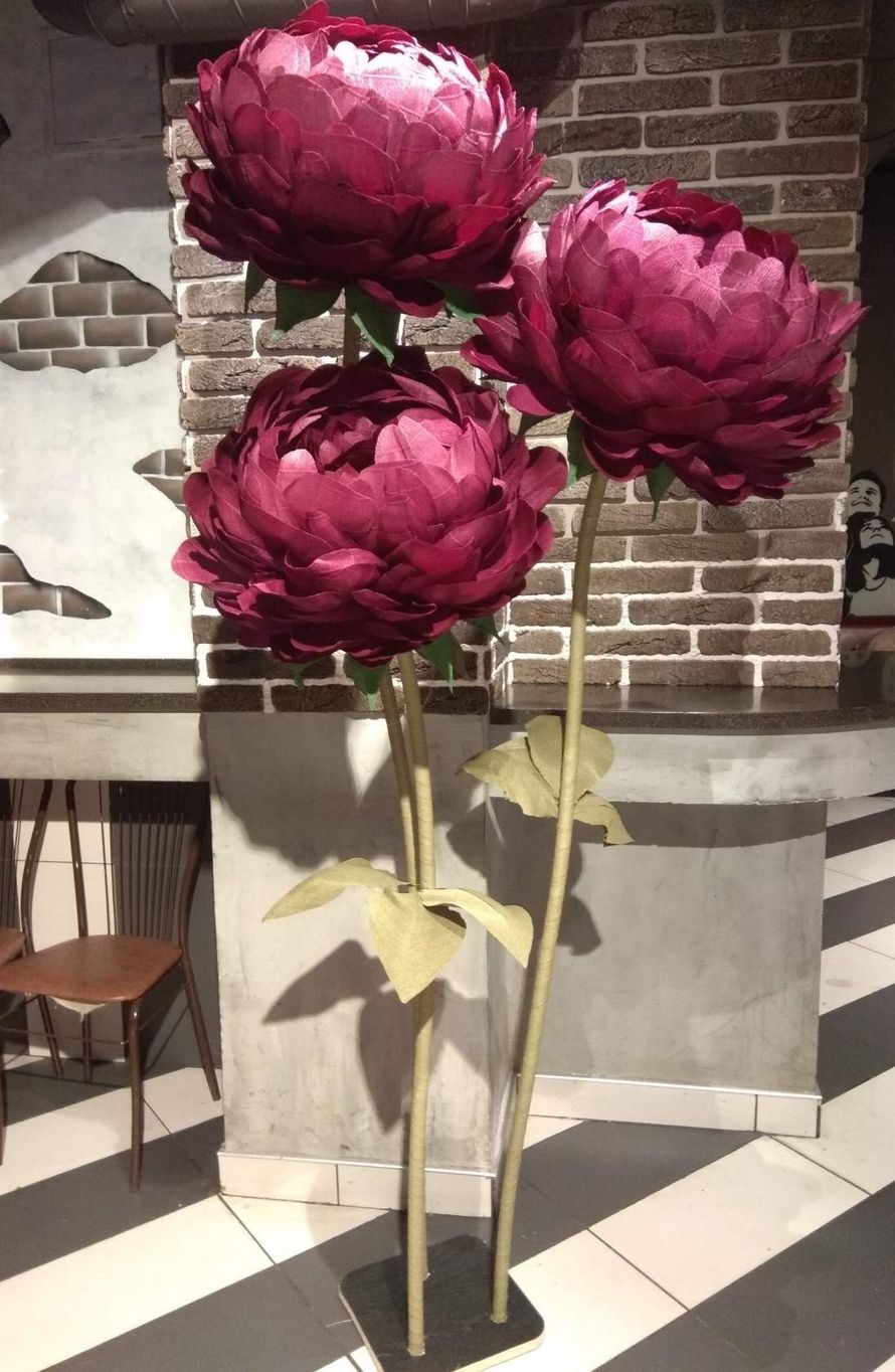 Фото 18371448 в коллекции Большие цветы - Ростовые цветы от Садовской Натальи