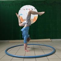 Акробатическое выступление с колесом Сира