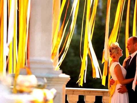 Желтая свадьба - Елена и Дмитрий