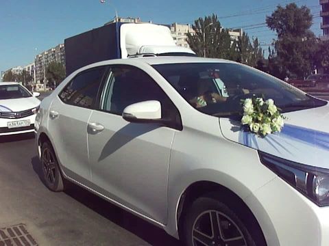 Свадебный кортеж из автомобилей Toyota Corolla. Аренда машин в Волгограде и области. Свадебные украшения