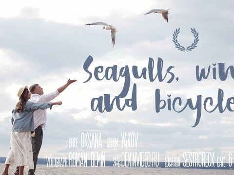 Seagulls, wind and bicycles [deminvideo.ru]