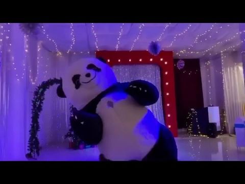 Шоу на свадьбу Panda show