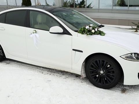 Белый Jaguar XF в свадебном украшении вариант 97 @auto-na-prokat.ru