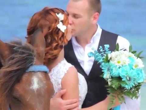SunWedding - Свадьба в Доминикане. Wedding in Dominicna/07.11.2015. Veronika & Vladimir